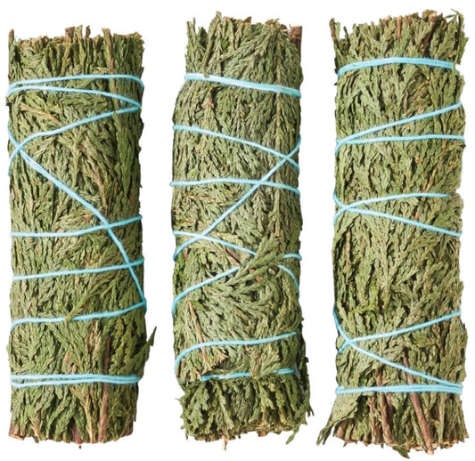 A photo of three green sage sticks. Article speaks of varities of sage