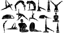 various yoga poses, cow pose, downward dog pose, mountain pose, warriour 1, warrior 2, standing pose, balancing pose, backbends, seated poses,  tadasana, Extended Side Angle, Utthita Parvakonasana, Triangle Pose, Utthita Trikonasana,